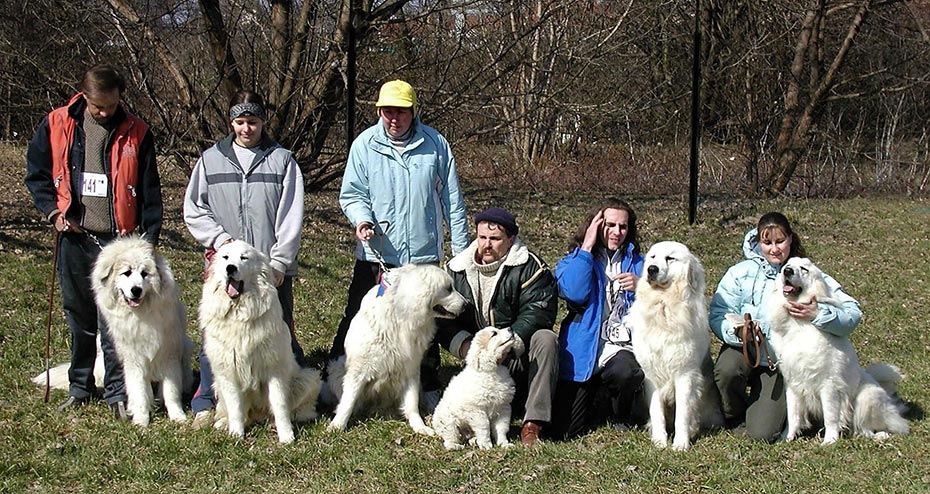 What makes someone a reliable breeder?